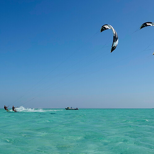 Kite rental